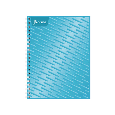 Cuaderno Profesional Norma C5 100H