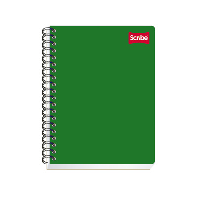 Cuaderno Profesional Cuadro Grande 100H S2903 Scribe