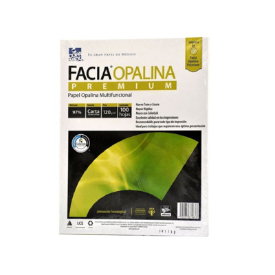 Papel Opalina Blanca Carta 120g c/100 hjs. Facia