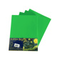 Papel Verde Bandera Carta C/100 75 Gr Supra