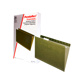 Folder Colgante Oficio Verde Trad. C/25 File Pro
